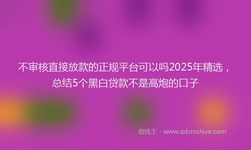 不审核直接放款的正规平台可以吗2025年精选，总结5个黑白贷款不是高炮的口子
