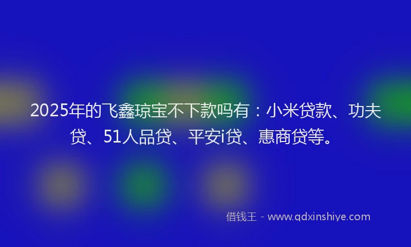 2025年的飞鑫琼宝不下款吗有：小米贷款、功夫贷、51人品贷、平安i贷、惠商贷等。