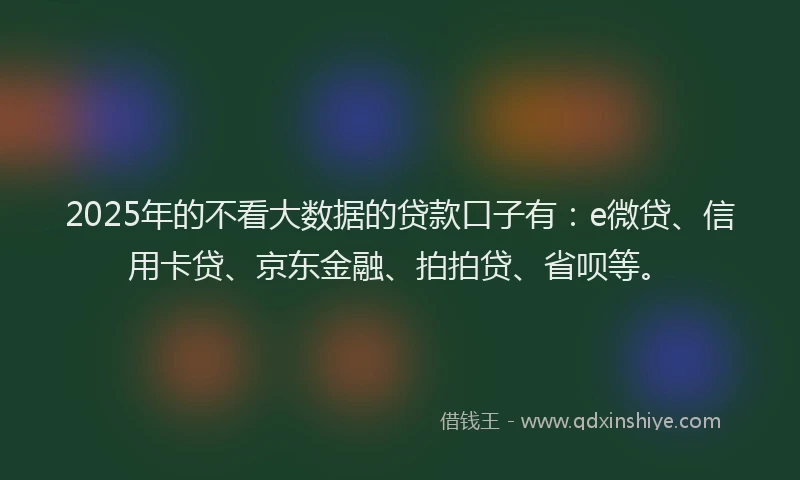 2025年的不看大数据的贷款口子有：e微贷、信用卡贷、京东金融、拍拍贷、省呗等。