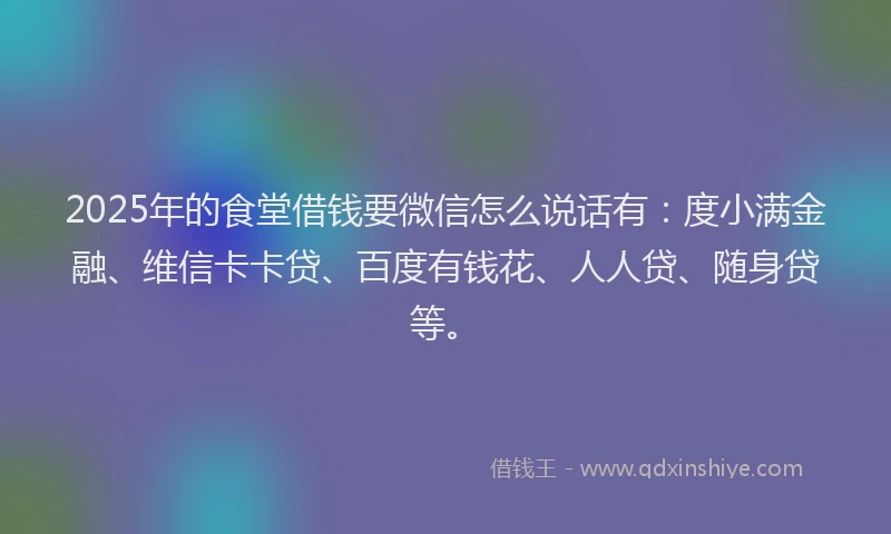 2025年的食堂借钱要微信怎么说话有：度小满金融、维信卡卡贷、百度有钱花、人人贷、随身贷等。