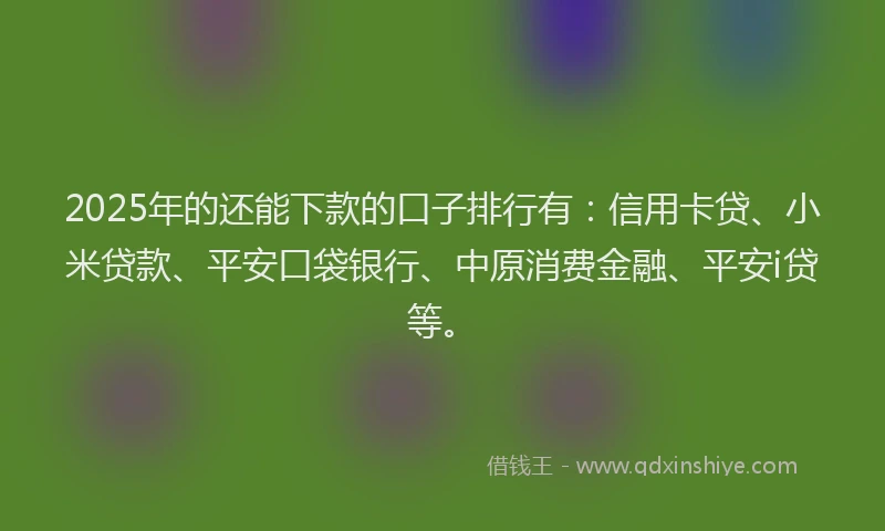 2025年的还能下款的口子排行有：信用卡贷、小米贷款、平安口袋银行、中原消费金融、平安i贷等。