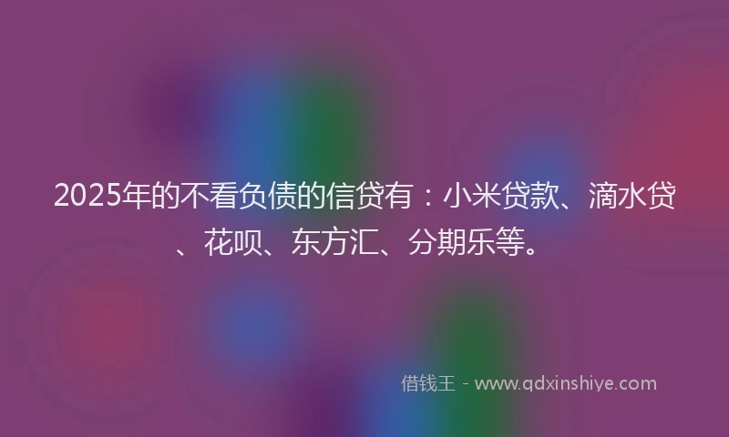 2025年的不看负债的信贷有：小米贷款、滴水贷、花呗、东方汇、分期乐等。