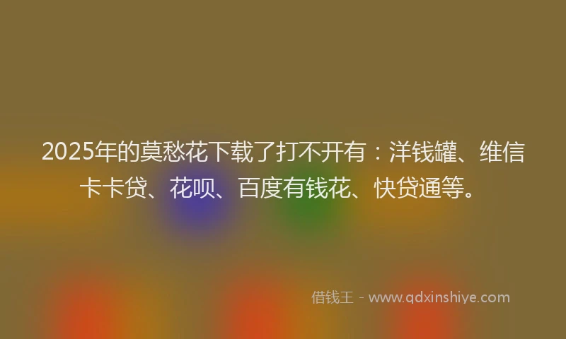 2025年的莫愁花下载了打不开有：洋钱罐、维信卡卡贷、花呗、百度有钱花、快贷通等。