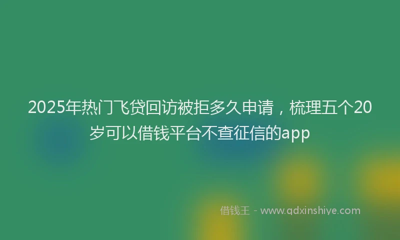 2025年热门飞贷回访被拒多久申请，梳理五个20岁可以借钱平台不查征信的app
