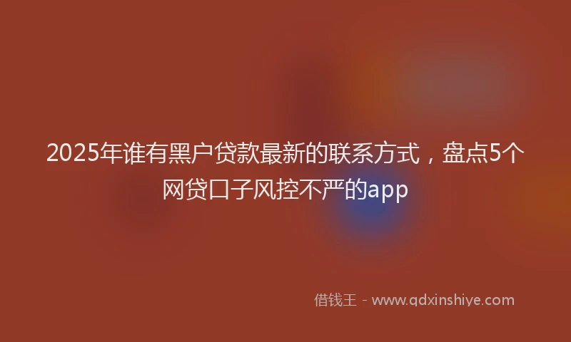 2025年谁有黑户贷款最新的联系方式，盘点5个网贷口子风控不严的app