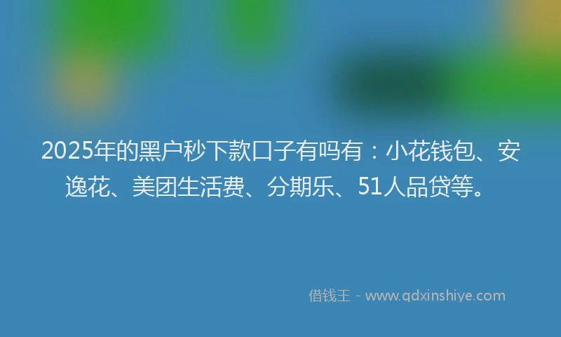 2025年的黑户秒下款口子有吗有：小花钱包、安逸花、美团生活费、分期乐、51人品贷等。