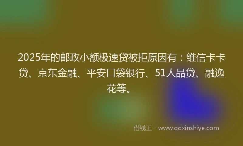 2025年的邮政小额极速贷被拒原因有：维信卡卡贷、京东金融、平安口袋银行、51人品贷、融逸花等。