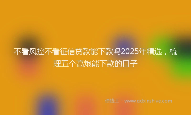 不看风控不看征信贷款能下款吗2025年精选，梳理五个高炮能下款的口子
