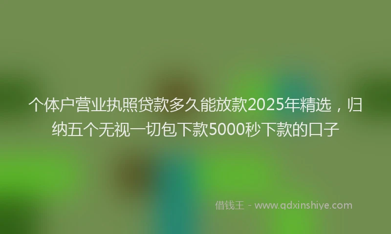 个体户营业执照贷款多久能放款2025年精选，归纳五个无视一切包下款5000秒下款的口子