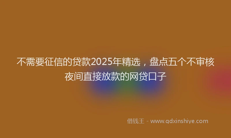 不需要征信的贷款2025年精选，盘点五个不审核夜间直接放款的网贷口子