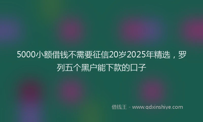 5000小额借钱不需要征信20岁2025年精选，罗列五个黑户能下款的口子