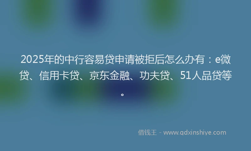 2025年的中行容易贷申请被拒后怎么办有：e微贷、信用卡贷、京东金融、功夫贷、51人品贷等。