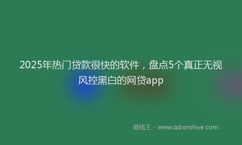 2025年热门贷款很快的软件，盘点5个真正无视风控黑白的网贷app