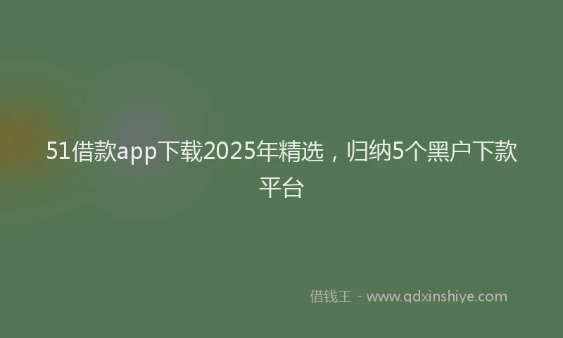 51借款app下载2025年精选，归纳5个黑户下款平台