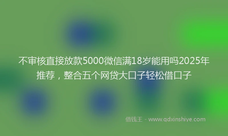 不审核直接放款5000微信满18岁能用吗2025年推荐，整合五个网贷大口子轻松借口子
