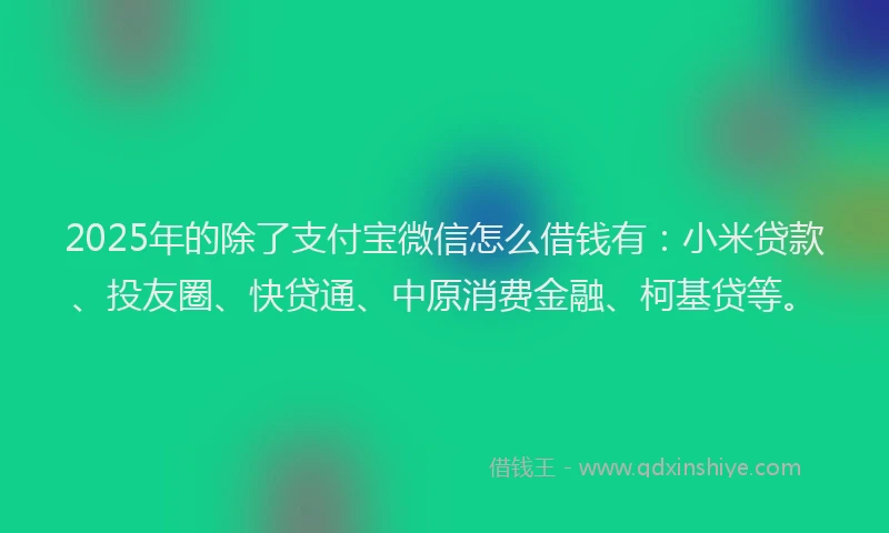 2025年的除了支付宝微信怎么借钱有：小米贷款、投友圈、快贷通、中原消费金融、柯基贷等。