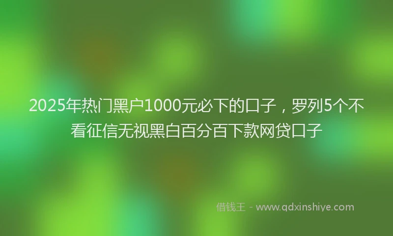 2025年热门黑户1000元必下的口子，罗列5个不看征信无视黑白百分百下款网贷口子