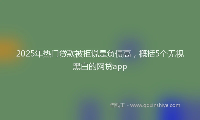 2025年热门贷款被拒说是负债高，概括5个无视黑白的网贷app