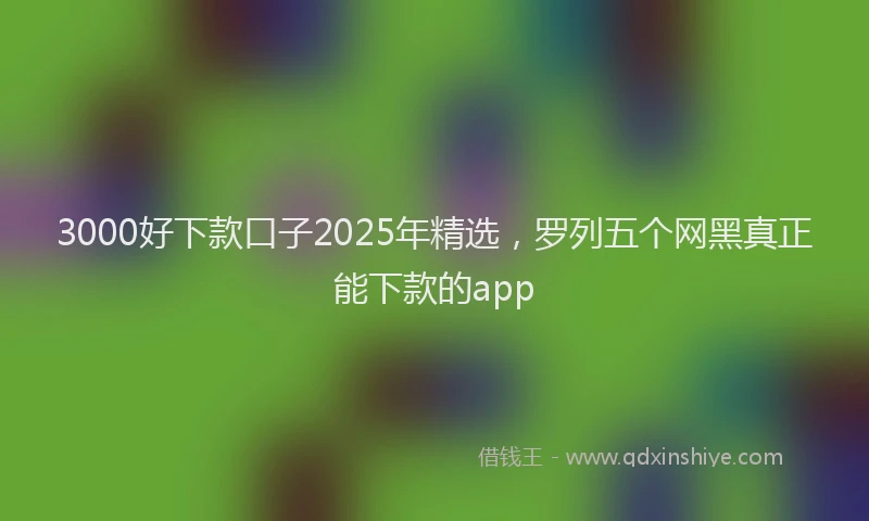 3000好下款口子2025年精选，罗列五个网黑真正能下款的app
