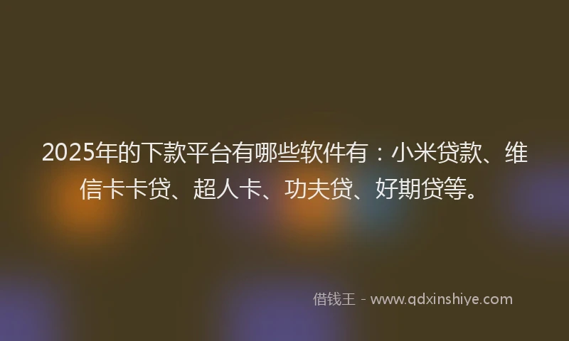 2025年的下款平台有哪些软件有：小米贷款、维信卡卡贷、超人卡、功夫贷、好期贷等。