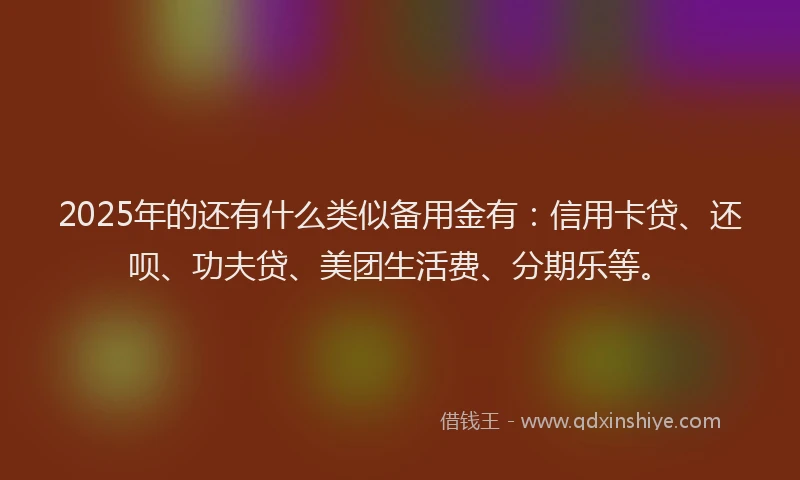 2025年的还有什么类似备用金有：信用卡贷、还呗、功夫贷、美团生活费、分期乐等。