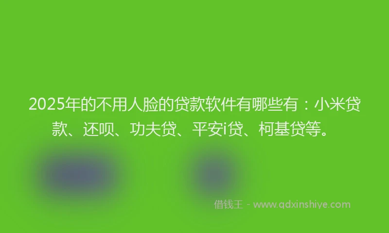 2025年的不用人脸的贷款软件有哪些有：小米贷款、还呗、功夫贷、平安i贷、柯基贷等。