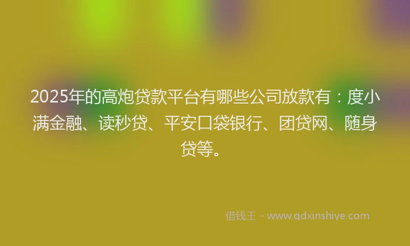 2025年的高炮贷款平台有哪些公司放款有：度小满金融、读秒贷、平安口袋银行、团贷网、随身贷等。