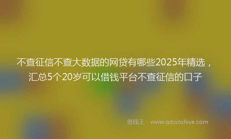 不查征信不查大数据的网贷有哪些2025年精选，汇总5个20岁可以借钱平台不查征信的口子