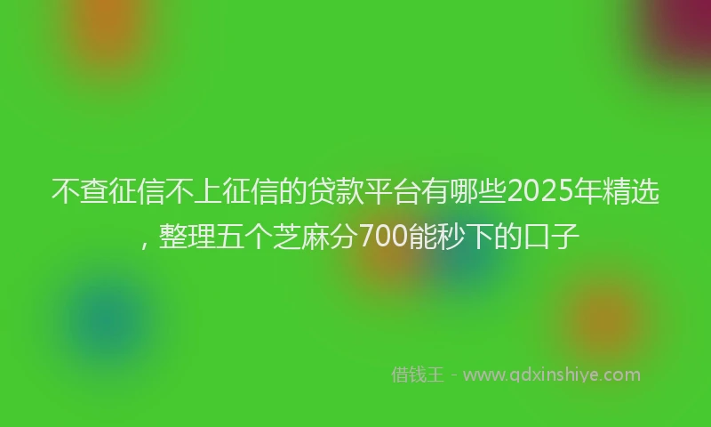 不查征信不上征信的贷款平台有哪些2025年精选，整理五个芝麻分700能秒下的口子