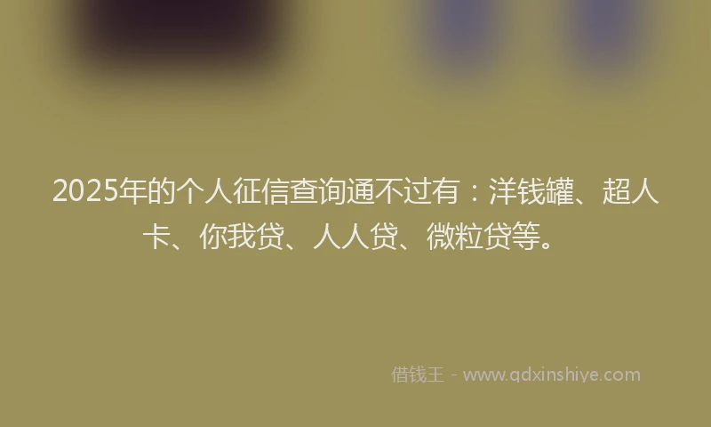 2025年的个人征信查询通不过有：洋钱罐、超人卡、你我贷、人人贷、微粒贷等。