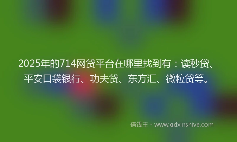 2025年的714网贷平台在哪里找到有：读秒贷、平安口袋银行、功夫贷、东方汇、微粒贷等。