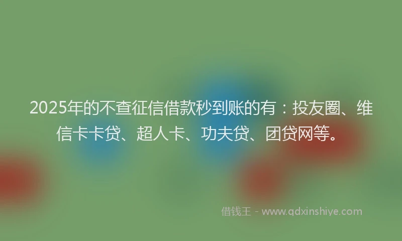 2025年的不查征信借款秒到账的有：投友圈、维信卡卡贷、超人卡、功夫贷、团贷网等。
