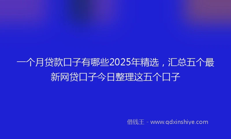一个月贷款口子有哪些2025年精选，汇总五个最新网贷口子今日整理这五个口子
