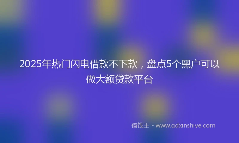 2025年热门闪电借款不下款，盘点5个黑户可以做大额贷款平台