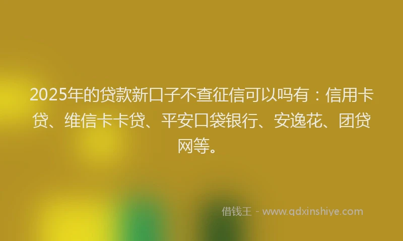 2025年的贷款新口子不查征信可以吗有：信用卡贷、维信卡卡贷、平安口袋银行、安逸花、团贷网等。