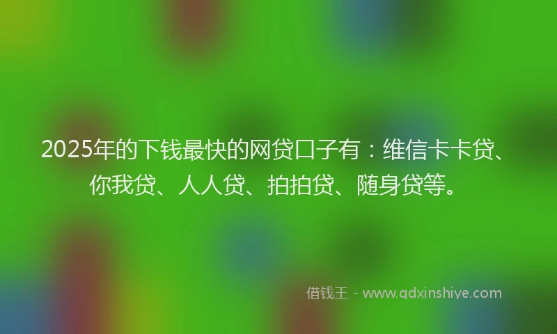 2025年的下钱最快的网贷口子有：维信卡卡贷、你我贷、人人贷、拍拍贷、随身贷等。