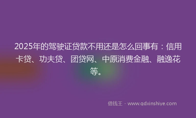 2025年的驾驶证贷款不用还是怎么回事有：信用卡贷、功夫贷、团贷网、中原消费金融、融逸花等。