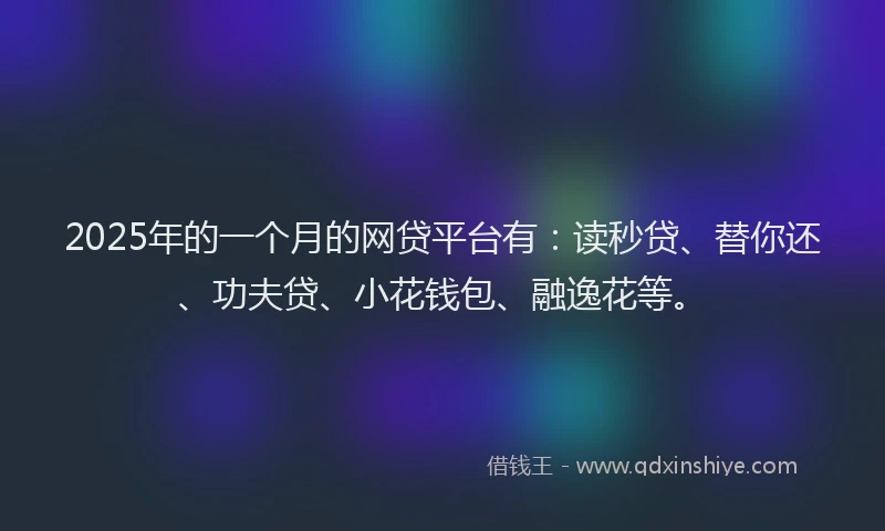2025年的一个月的网贷平台有：读秒贷、替你还、功夫贷、小花钱包、融逸花等。