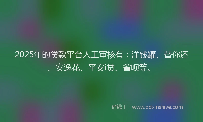 2025年的贷款平台人工审核有：洋钱罐、替你还、安逸花、平安i贷、省呗等。