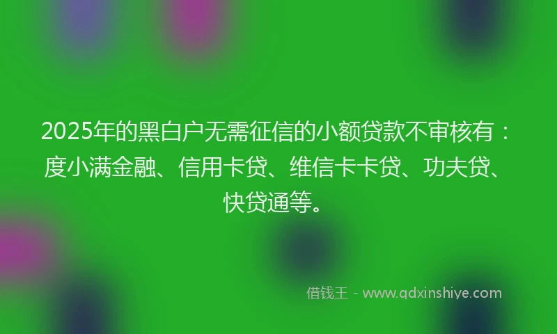 2025年的黑白户无需征信的小额贷款不审核有：度小满金融、信用卡贷、维信卡卡贷、功夫贷、快贷通等。