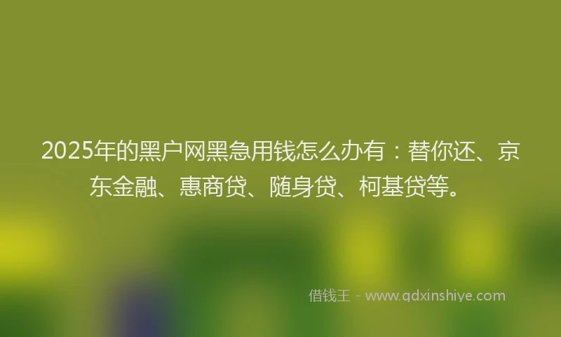 2025年的黑户网黑急用钱怎么办有：替你还、京东金融、惠商贷、随身贷、柯基贷等。