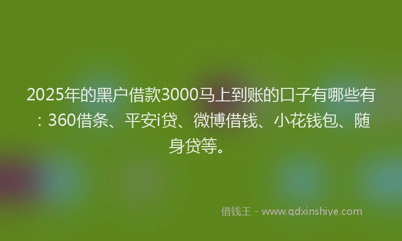 2025年的黑户借款3000马上到账的口子有哪些有：360借条、平安i贷、微博借钱、小花钱包、随身贷等。