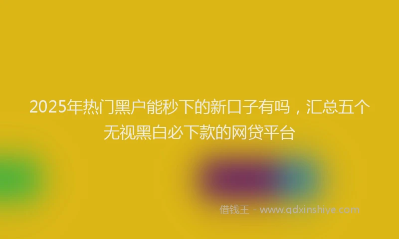 2025年热门黑户能秒下的新口子有吗，汇总五个无视黑白必下款的网贷平台