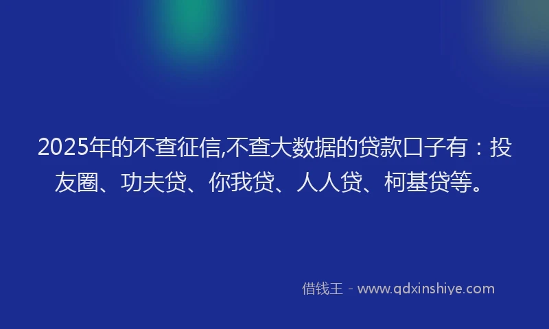 2025年的不查征信,不查大数据的贷款口子有：投友圈、功夫贷、你我贷、人人贷、柯基贷等。