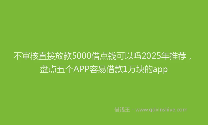 不审核直接放款5000借点钱可以吗2025年推荐，盘点五个APP容易借款1万块的app