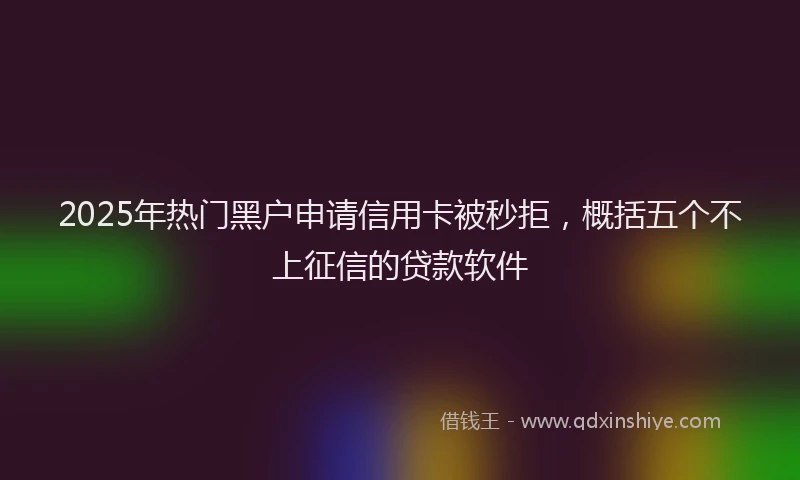 2025年热门黑户申请信用卡被秒拒，概括五个不上征信的贷款软件