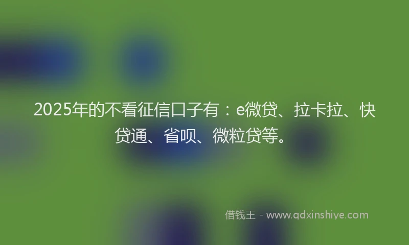 2025年的不看征信口子有：e微贷、拉卡拉、快贷通、省呗、微粒贷等。