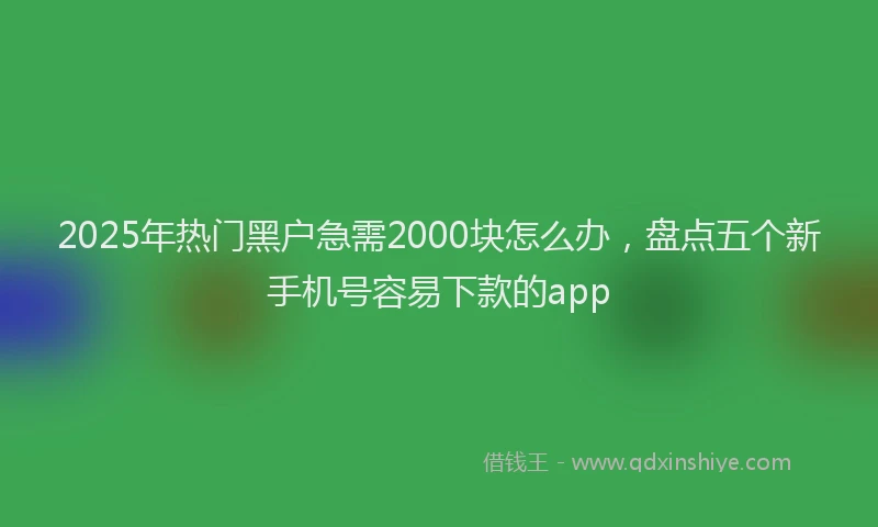 2025年热门黑户急需2000块怎么办，盘点五个新手机号容易下款的app