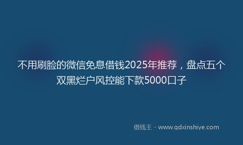 不用刷脸的微信免息借钱2025年推荐，盘点五个双黑烂户风控能下款5000口子