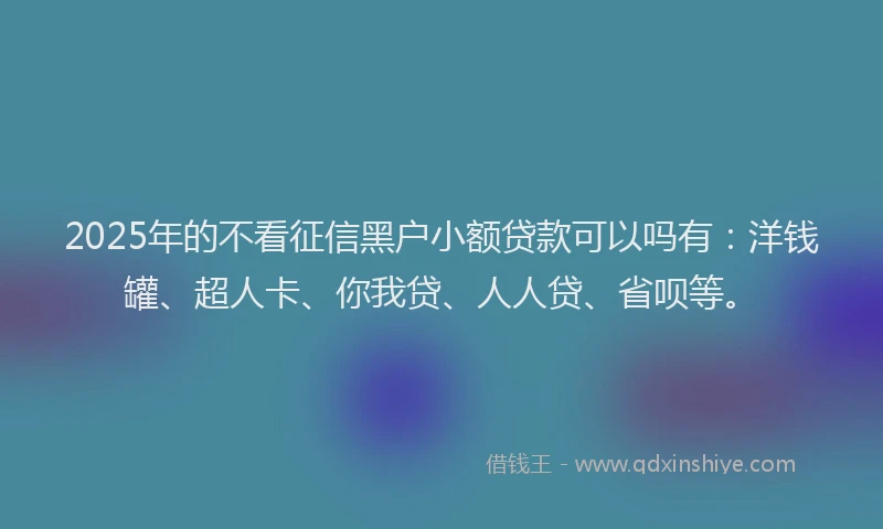 2025年的不看征信黑户小额贷款可以吗有：洋钱罐、超人卡、你我贷、人人贷、省呗等。
